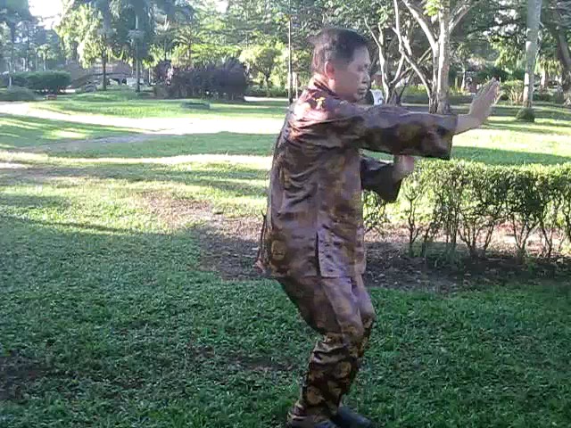 Sun Style Taijiquan